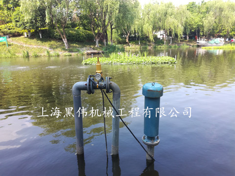 河道治理沉水式鼓風(fēng)機 河道治理沉水式鼓風(fēng)機